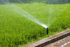 a spray nozzle sprinkler covers the lawn